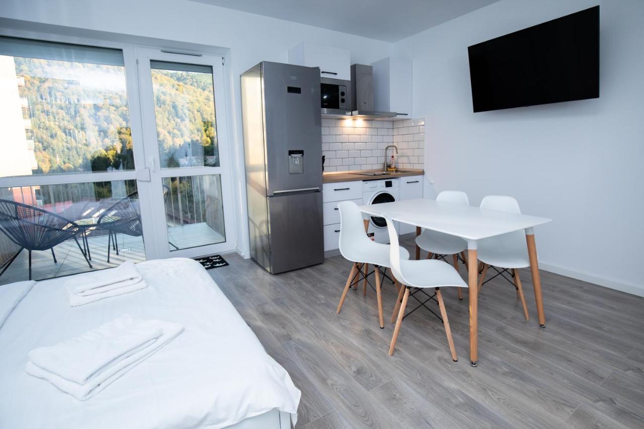 Cozy Studio 4 People With Parking Sinaia Zewnętrze zdjęcie