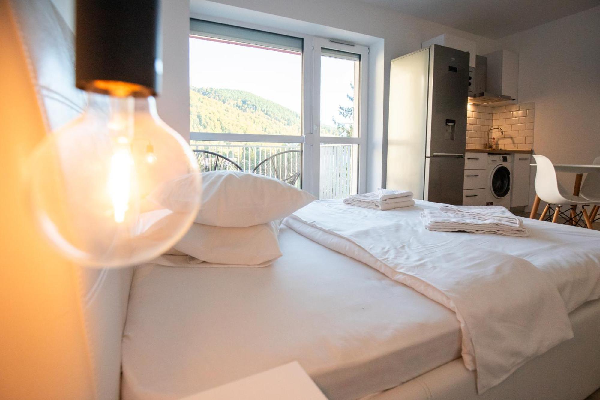 Cozy Studio 4 People With Parking Sinaia Zewnętrze zdjęcie